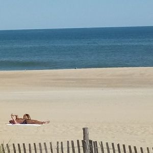 Meet your Posher, Holly